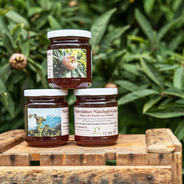 Natuerlich Nidwalden Hof Reinerz Impressionen 06