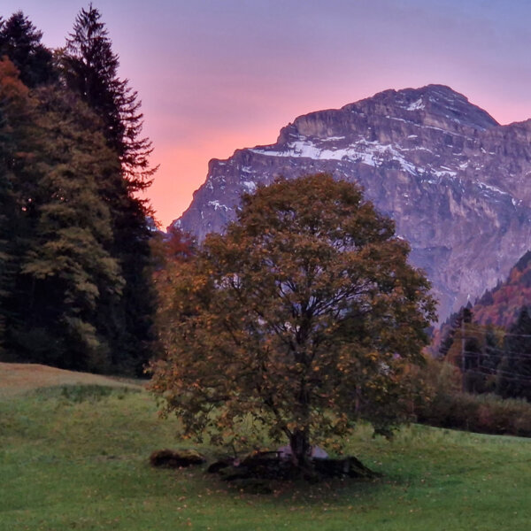 Natuerlich Nidwalden Hof Reinerz Impressionen 08