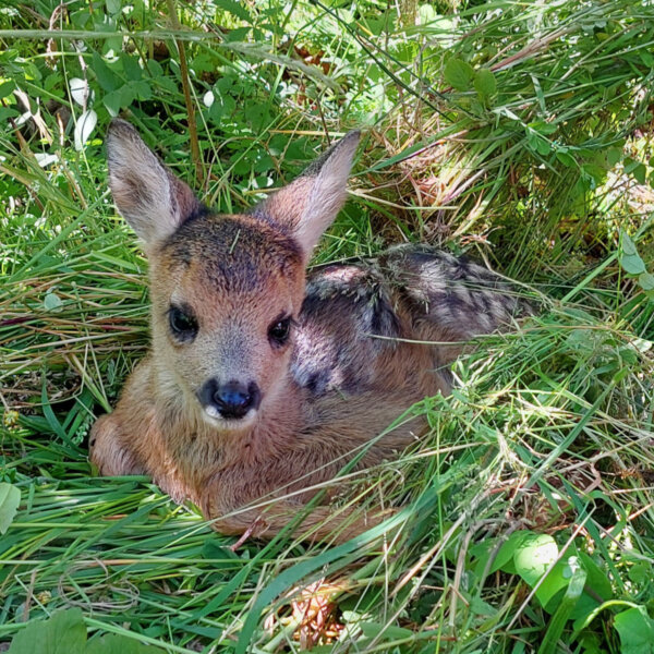 Natuerlich Nidwalden Hof Reinerz Impressionen 09