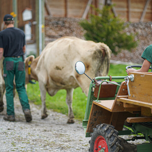 Natuerlich Nidwalden Huismatt Chaesi Impressionen 07
