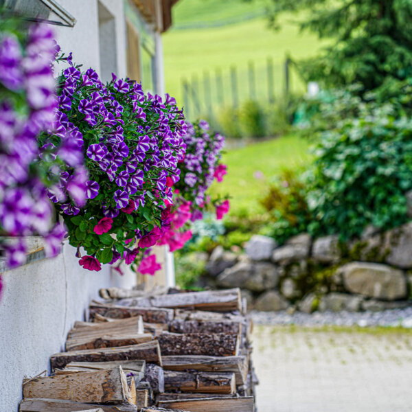 Natuerlich Nidwalden Huismatt Chaesi Impressionen 08