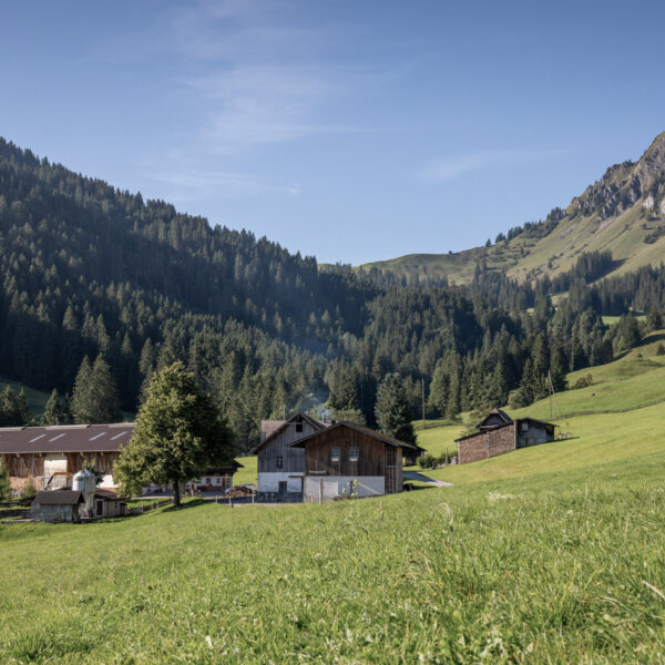 Natuerlich Nidwalden Huismatt Chaesi Impressionen 15