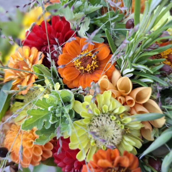 Natuerlich Nidwalden Laenzae Blumen