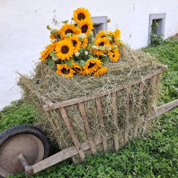 Natuerlich Nidwalden Laenzae Impressionen 02