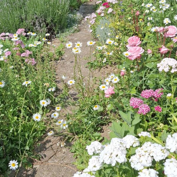 Natuerlich Nidwalden Laenzae Impressionen 06