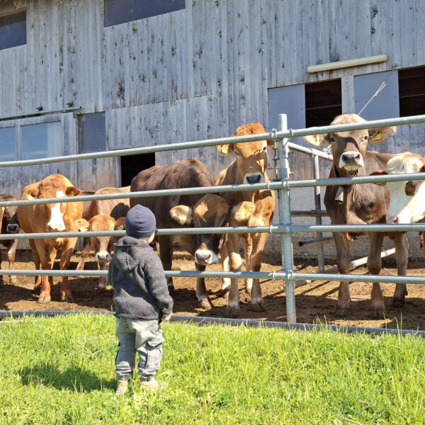 Natuerlich Nidwalden Laenzae Impressionen 07