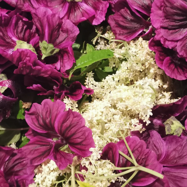 Natuerlich Nidwalden Mitbringsel Huettli Muergg Impressionen 04