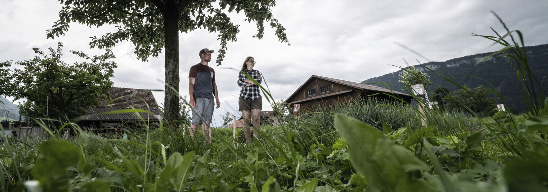 Natuerlich Nidwalden Muh und Meh Hero