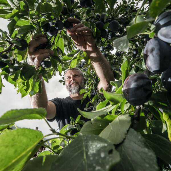 Natuerlich Nidwalden Muh und Meh Impressionen 05