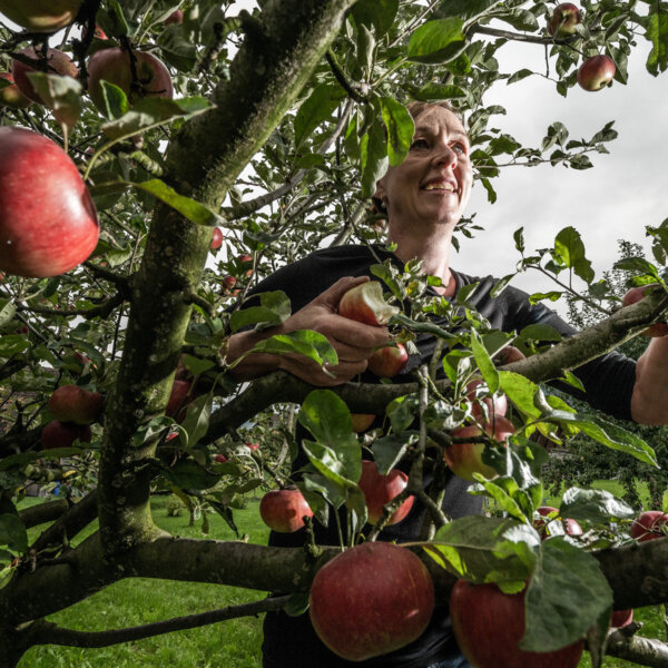 Natuerlich Nidwalden Muh und Meh Impressionen 06