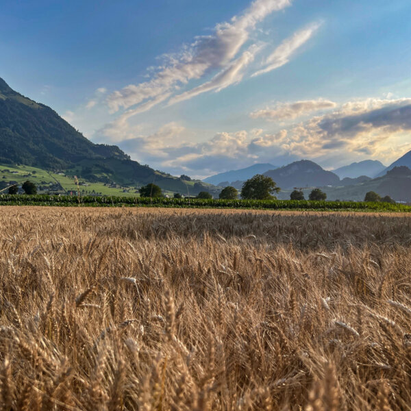 Natuerlich Nidwalden Muh und Meh Impressionen 08
