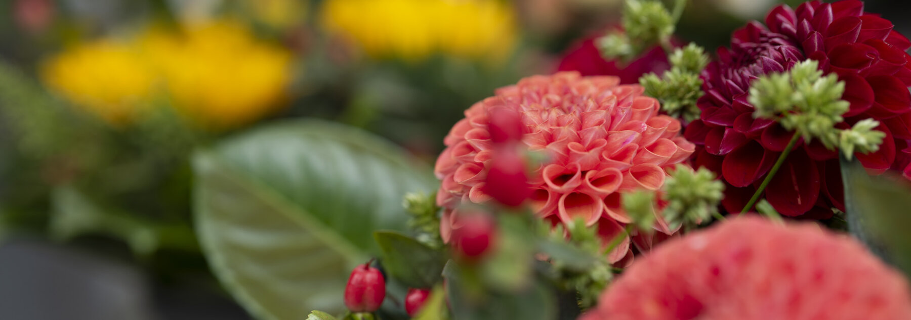 Natuerlich Nidwalden Natur Pur Hero
