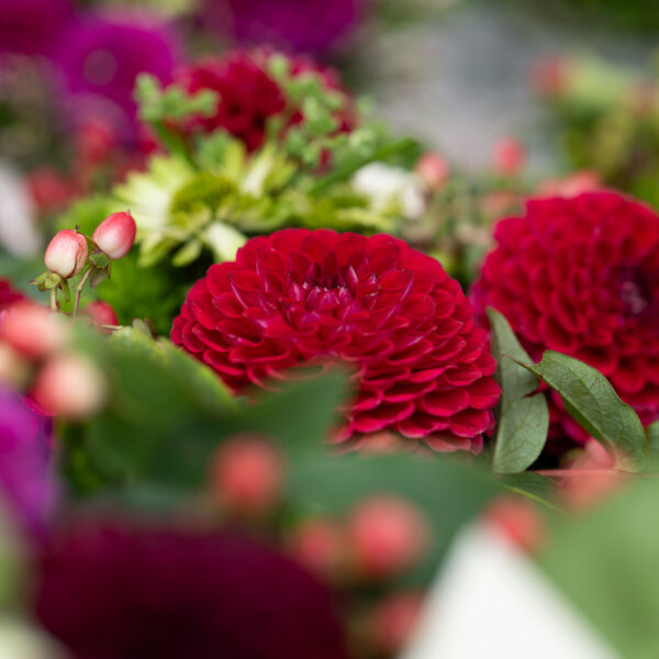 Natuerlich Nidwalden Natur Pur Impressionen 01