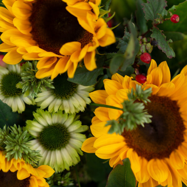 Natuerlich Nidwalden Natur Pur Impressionen 02