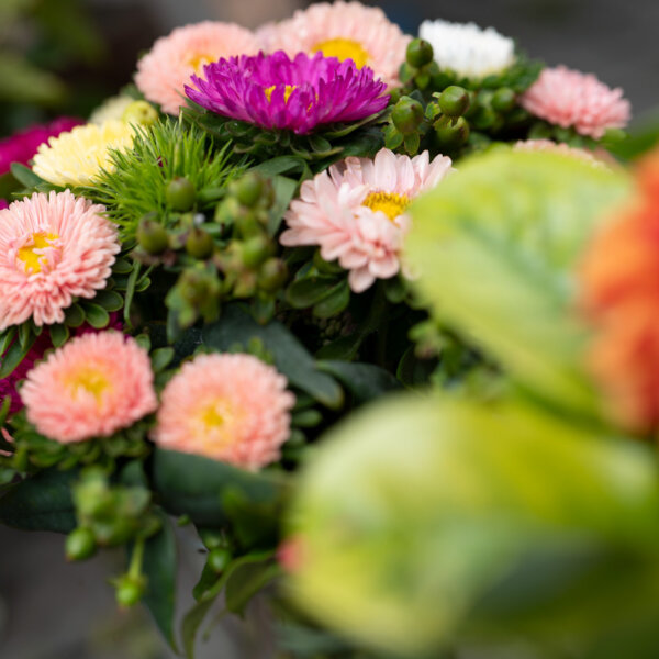 Natuerlich Nidwalden Natur Pur Impressionen 04