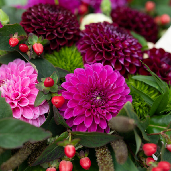 Natuerlich Nidwalden Natur Pur Impressionen 06