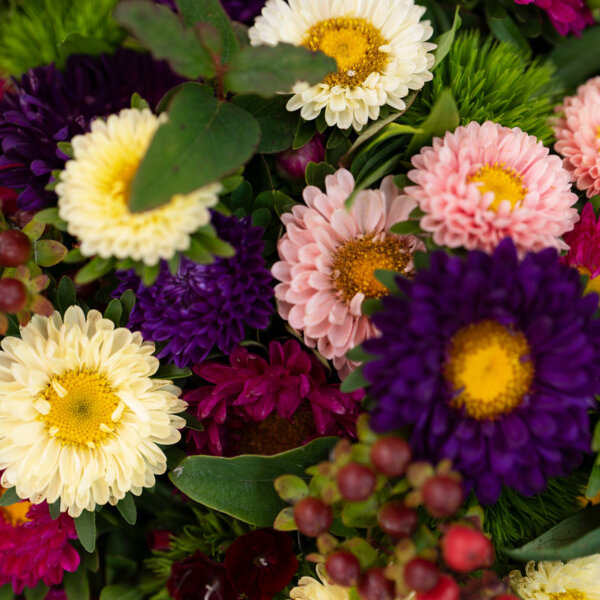 Natuerlich Nidwalden Natur Pur Impressionen 08