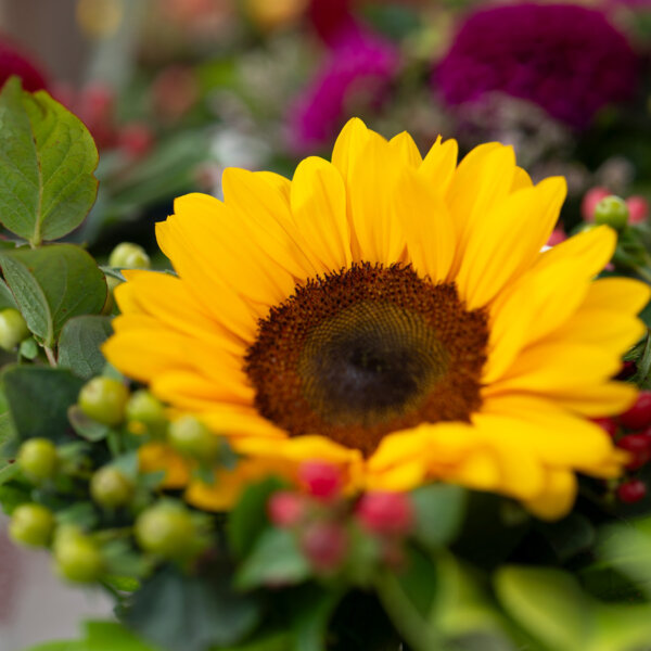 Natuerlich Nidwalden Natur Pur Impressionen 10
