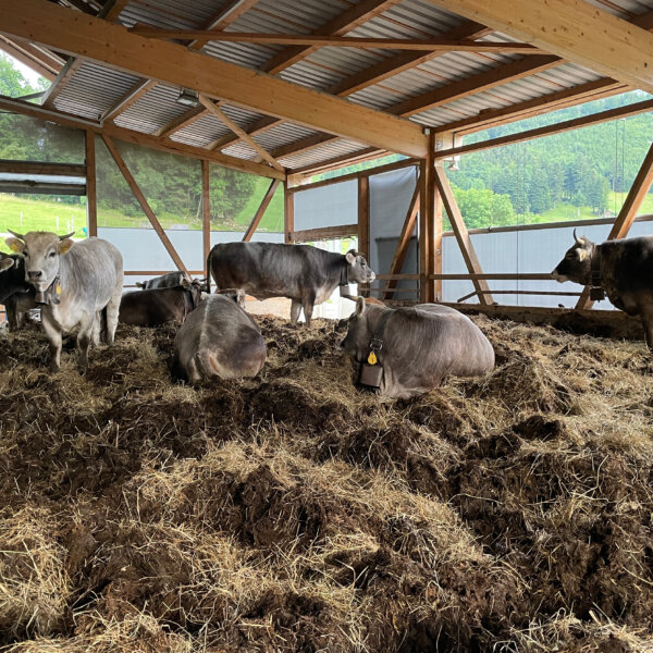 Natuerlich Nidwalden Obermisli Impressionen 06