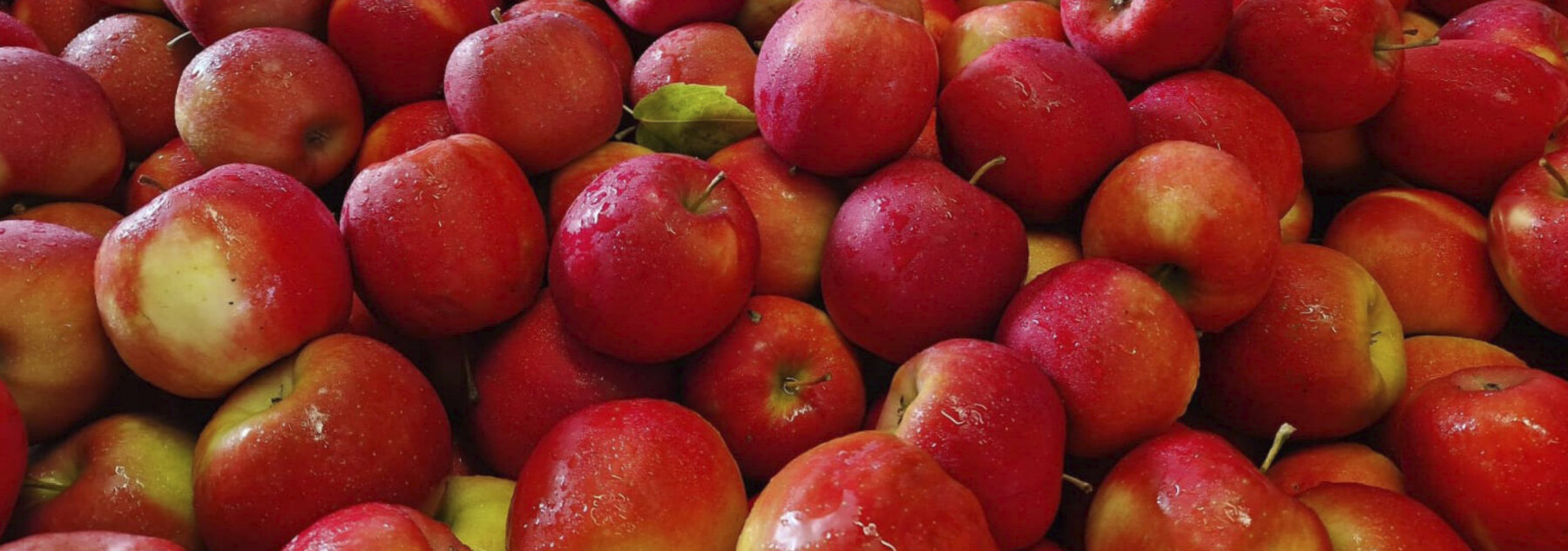 Natuerlich Nidwalden Obsthuis Krummenacher Hero