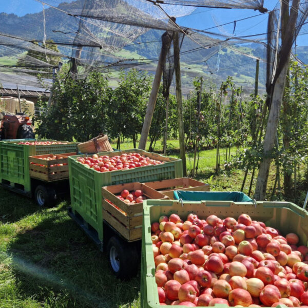 Natuerlich Nidwalden Obsthuis Krummenacher Impressionen 02