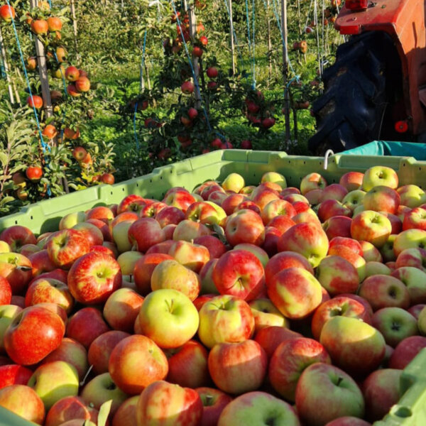 Natuerlich Nidwalden Obsthuis Krummenacher Impressionen 04