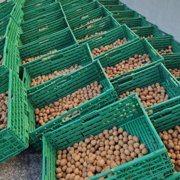 Natuerlich Nidwalden Obsthuis Krummenacher Impressionen 07