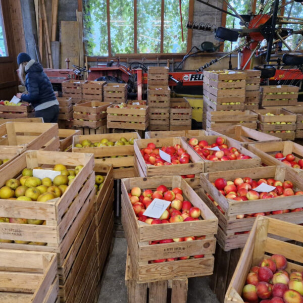 Natuerlich Nidwalden Obsthuis Krummenacher Impressionen 09