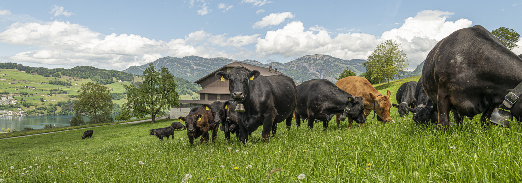 Natuerlich Nidwalden Paradies Hero