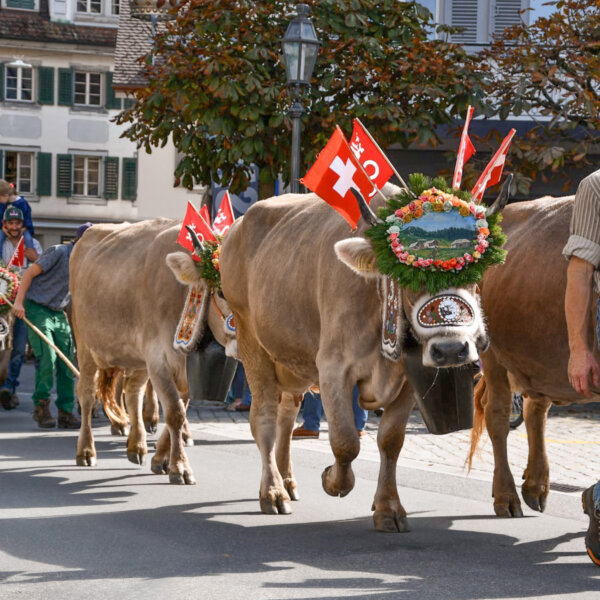 Natuerlich Nidwalden pf Huisli Imrpressionen 08