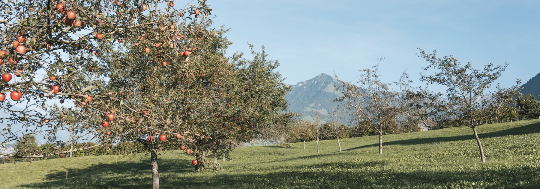 Natuerlich Nidwalden Wanghof Hero