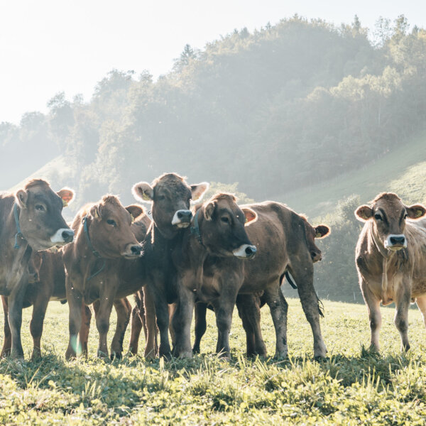 Natuerlich Nidwalden Wanghof Impressionen 03