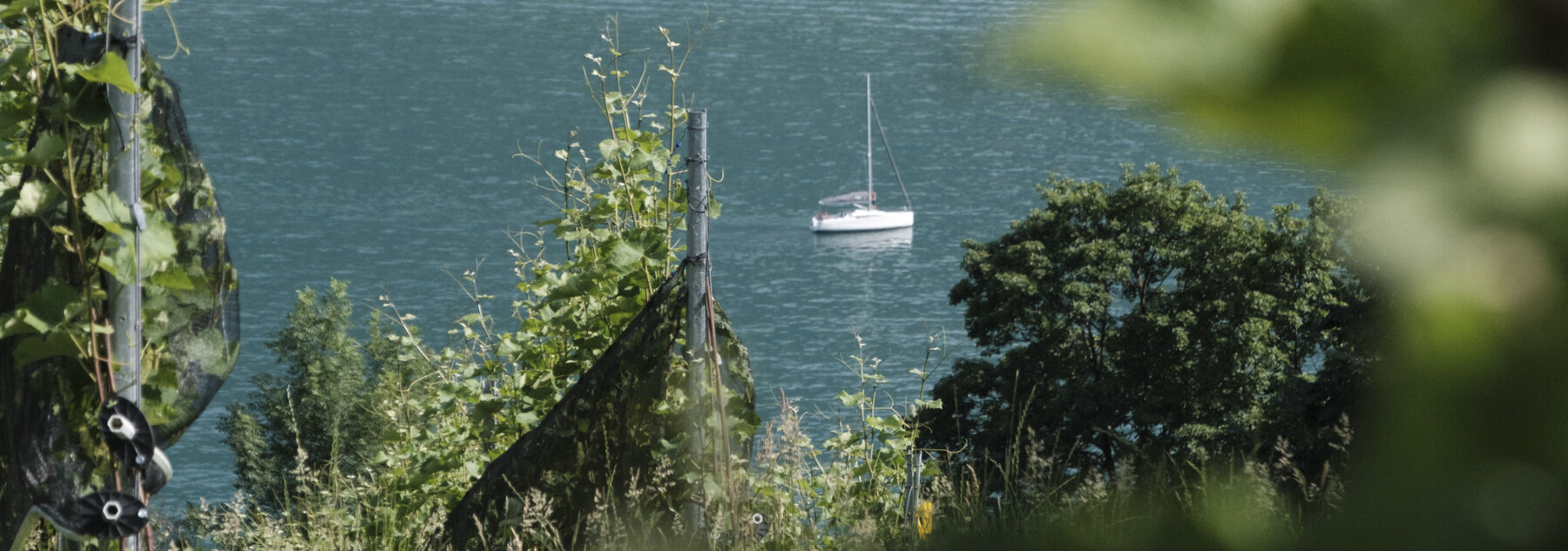 Natuerlich Nidwalden Weingaertli Hero