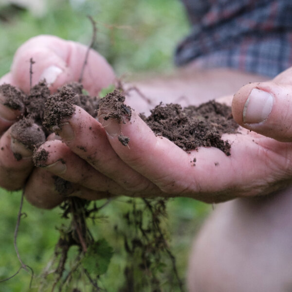 Natuerlich Nidwalden Weingaertli Weinschule