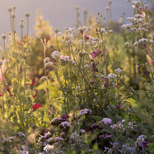 Natuerlich Nidwalden ueber uns Baeuerinnenverband Nidwalden