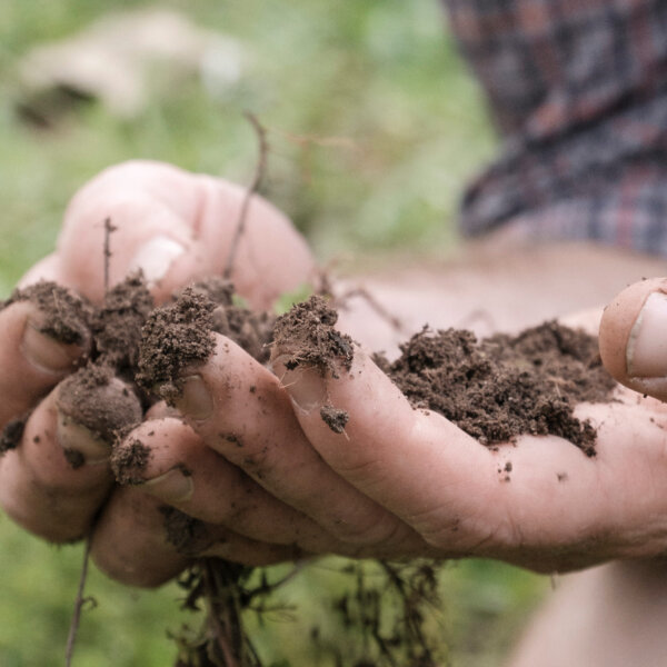 Natuerlich Nidwalden Werte Kontrolle